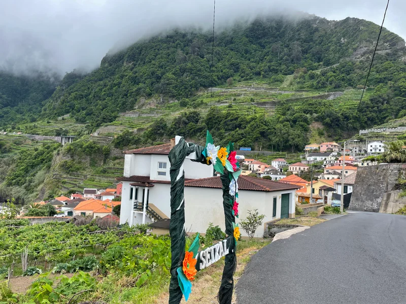 Madeira - gallery image 11