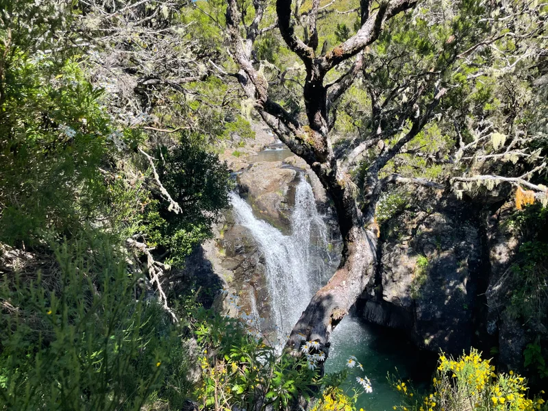 Madeira - gallery image 22