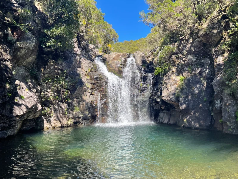 Madeira - gallery image 21