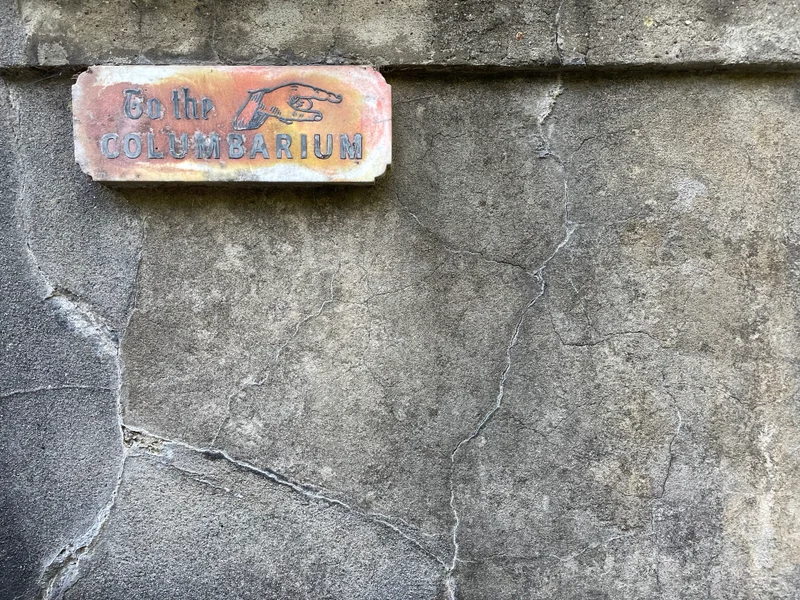 Dead - gallery image 1