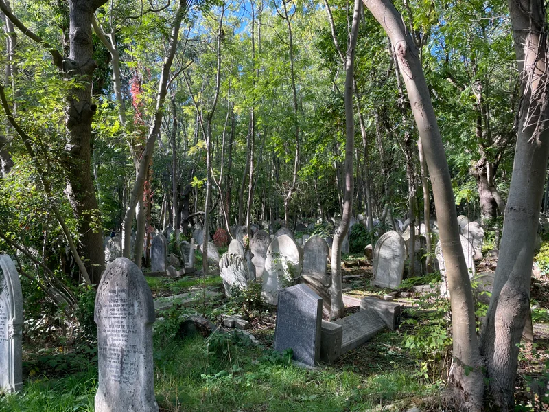 Dead - gallery image 8