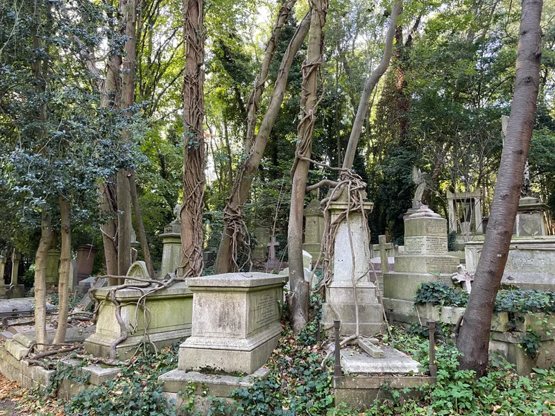 Dead - gallery image 7