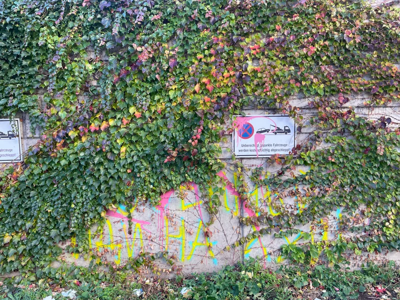 Wein - gallery image 14