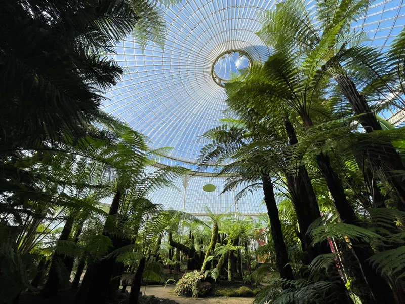 Glasgow - gallery image 6