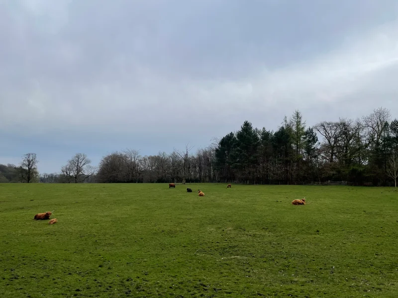 Glasgow - gallery image 20