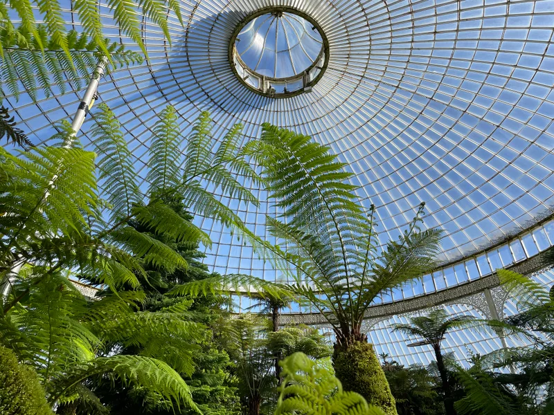 Glasgow - gallery image 8