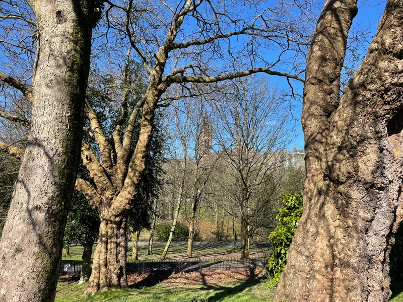 Glasgow - gallery image 1