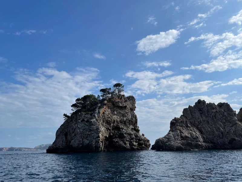 Majorca - gallery image 6