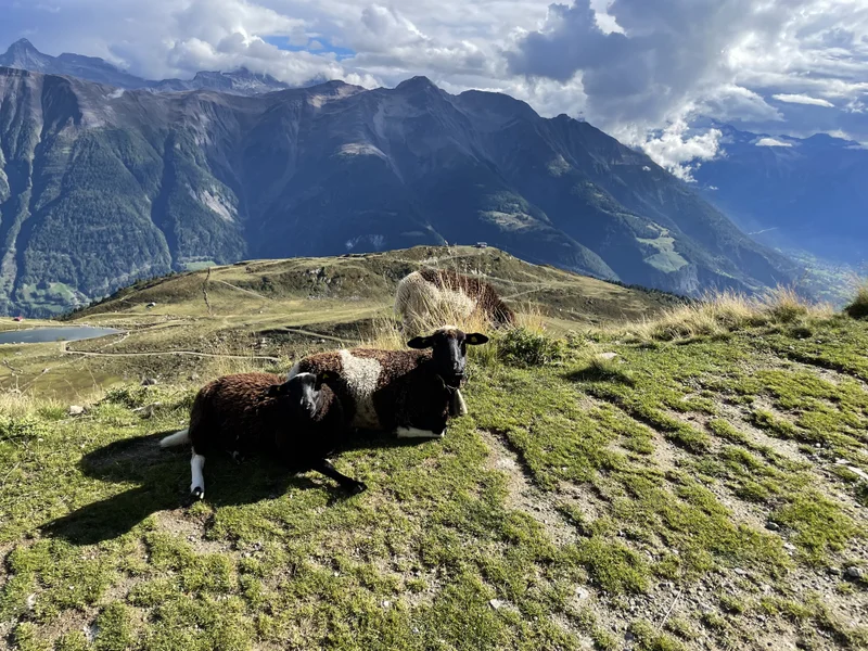 Fiescheralp - gallery
