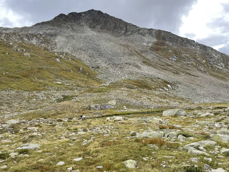 Fiescheralp - gallery