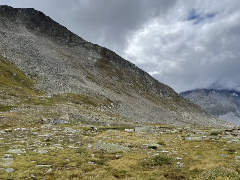 Fiescheralp - gallery