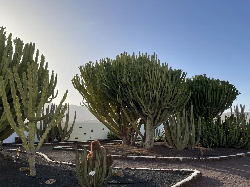 Fuerteventura - gallery image 14