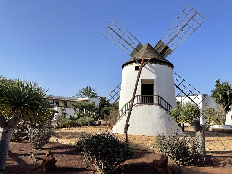 Fuerteventura - gallery image 12