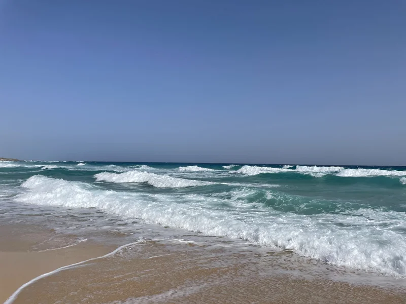 Fuerteventura - gallery image 17