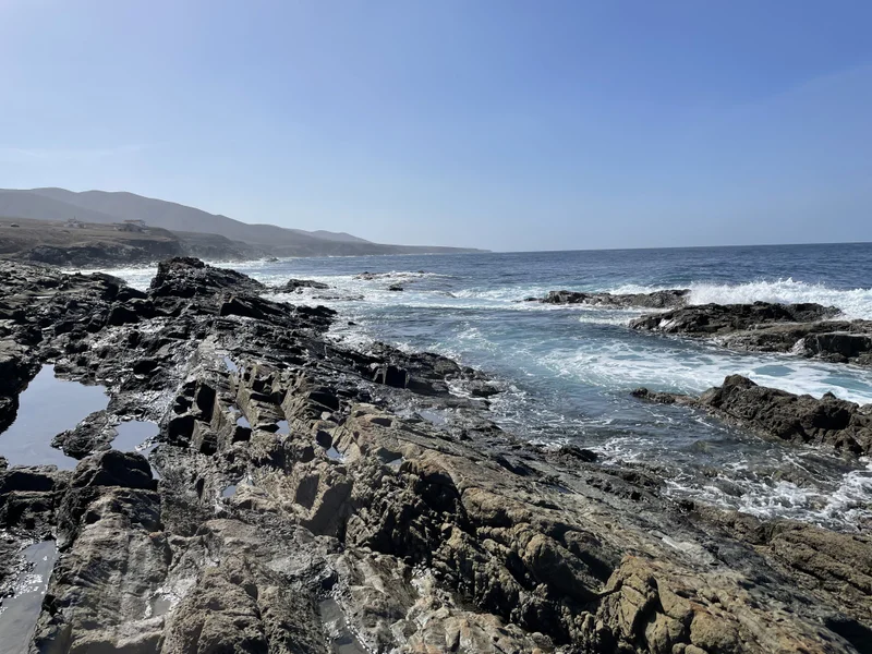 Fuerteventura - gallery image 6