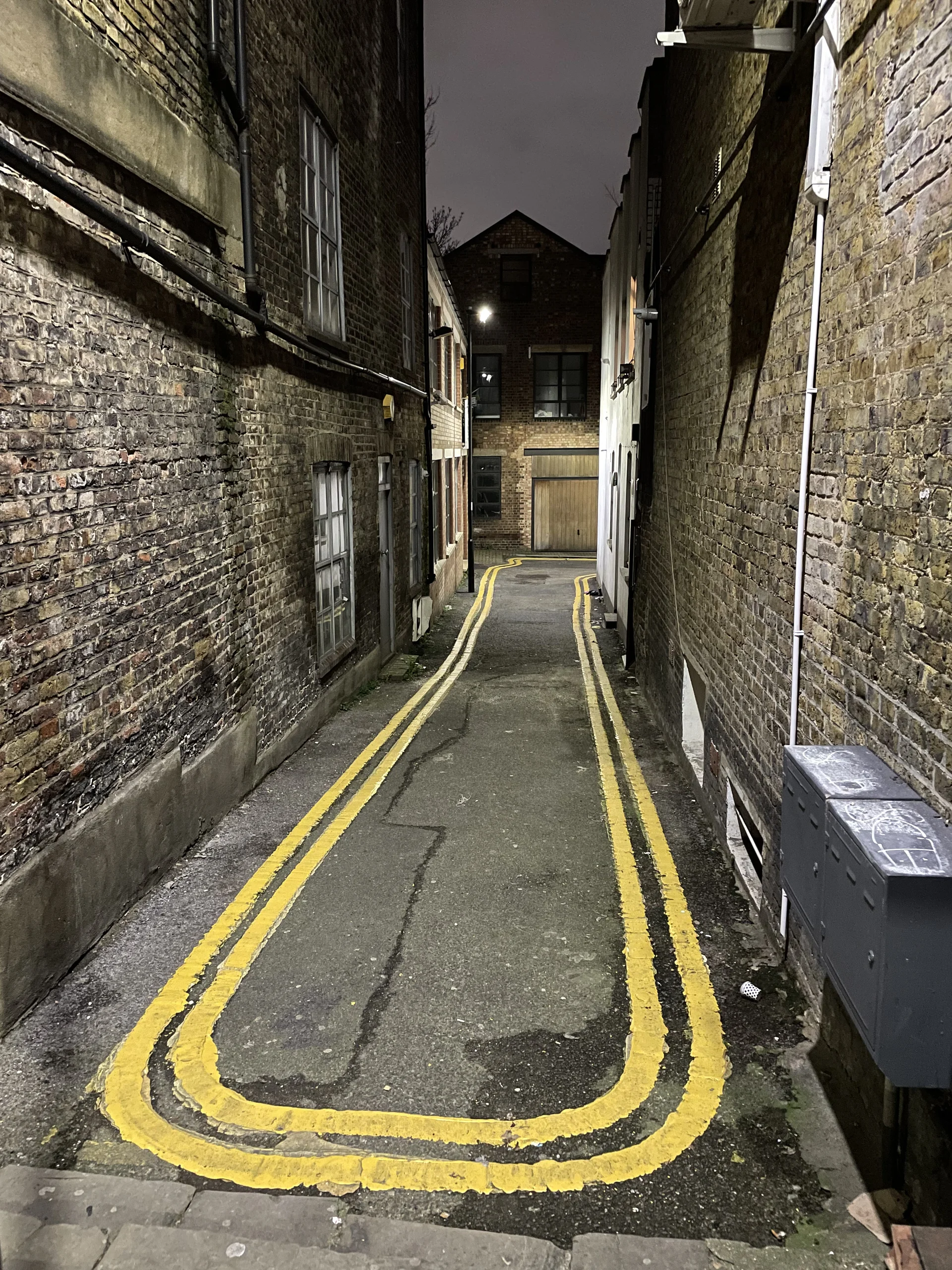 Snake - feature image