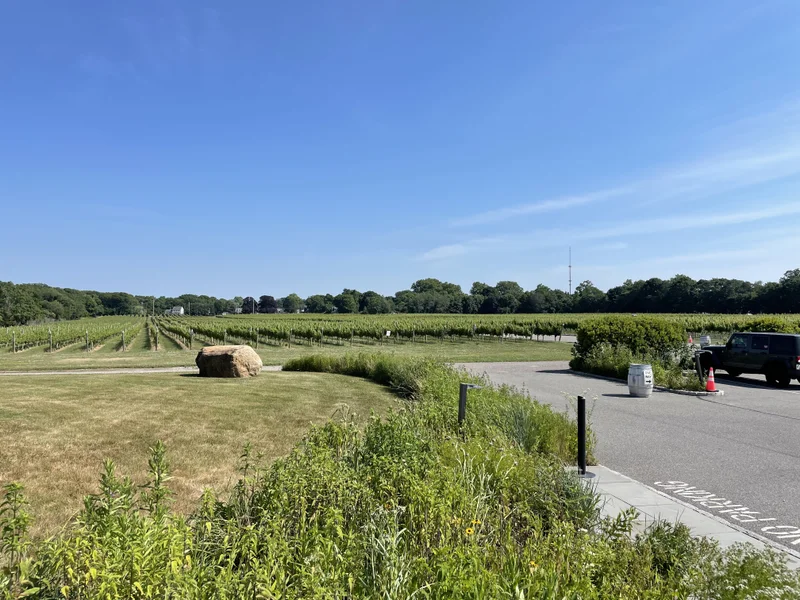 Long Island - gallery image 5