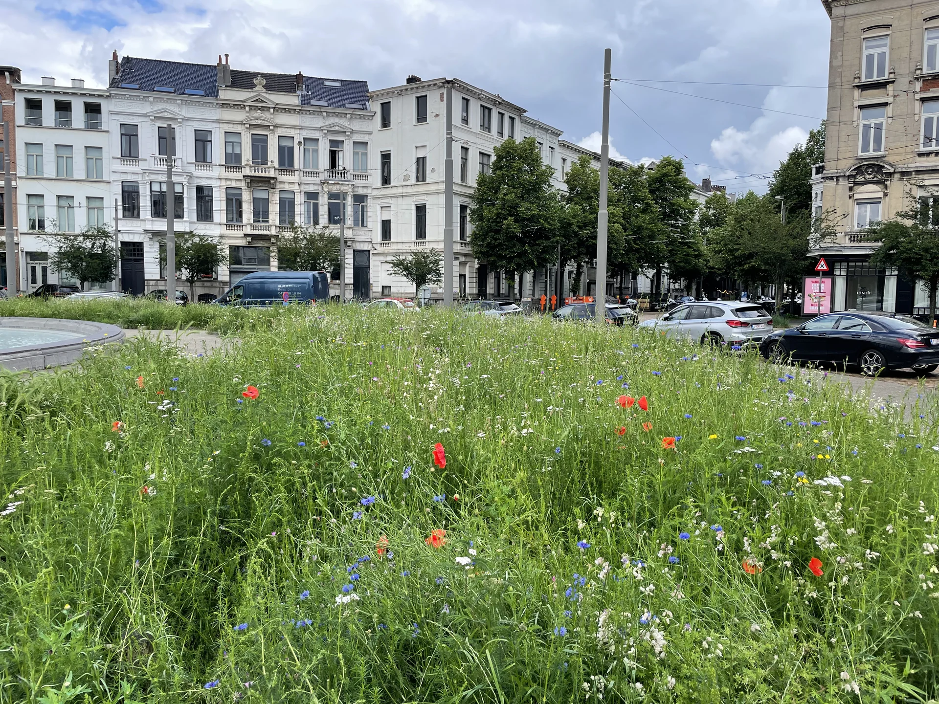 Summer in Antwerp - feature image