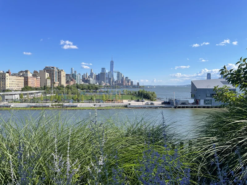 NYC Summer - gallery image 3