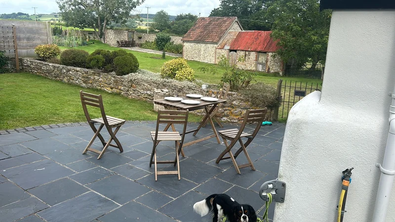 Jurassic Coast - gallery image 9