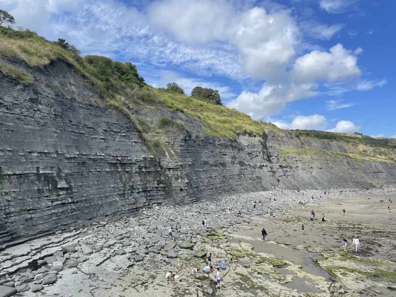 Jurassic Coast - gallery image 6