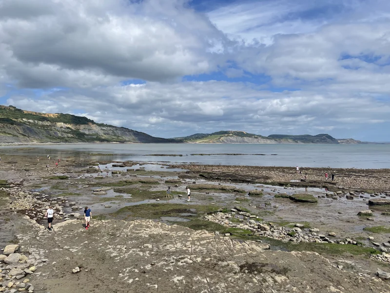 Jurassic Coast - gallery image 5