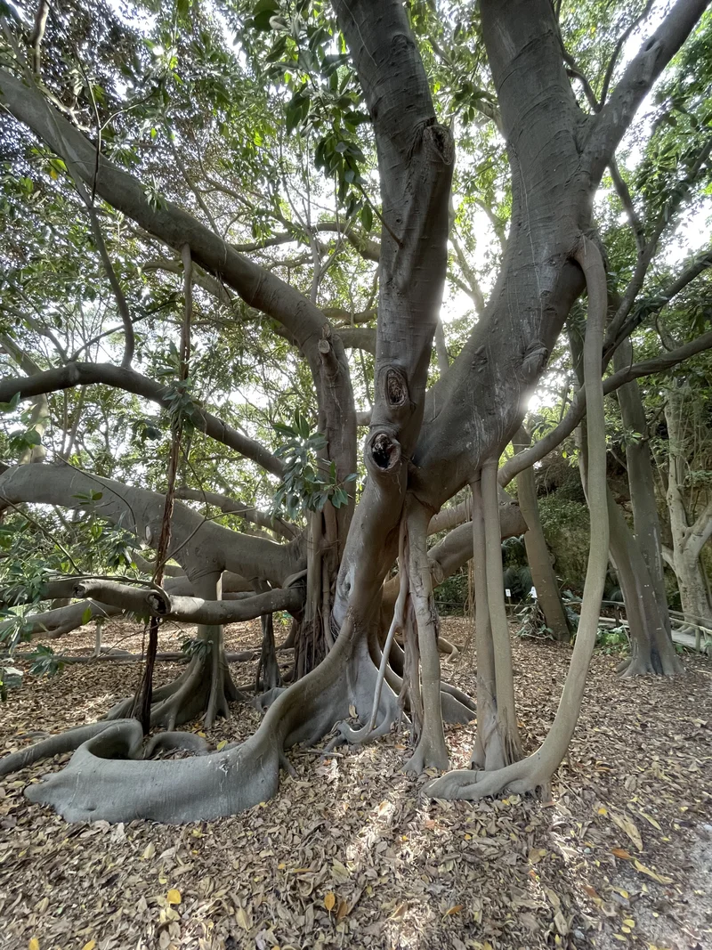 Cagliari - gallery image 24