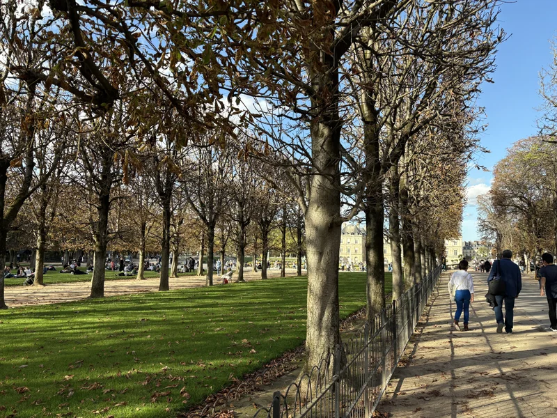 Paris 2024 - gallery image 3